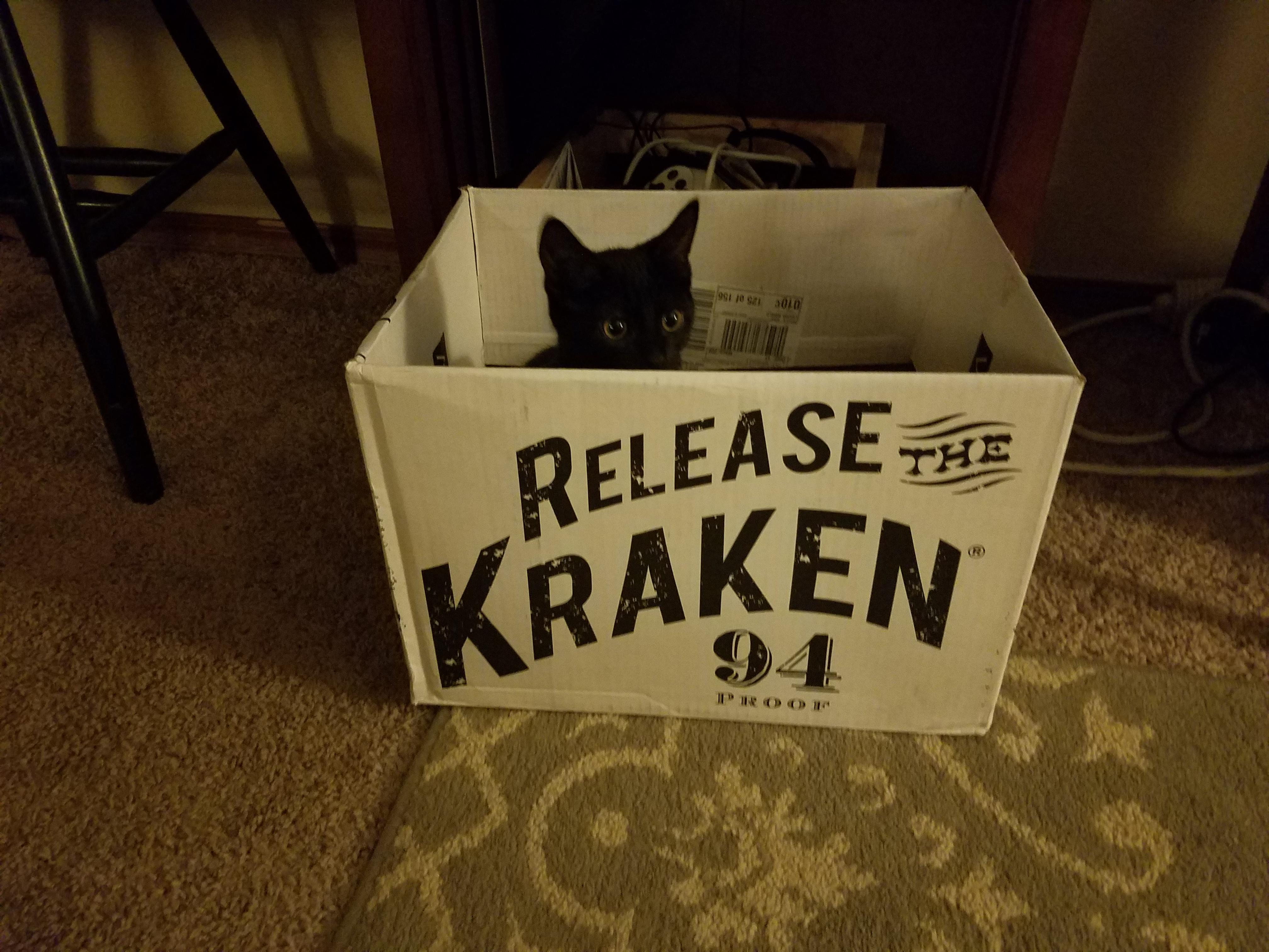 Elasid release the kraken